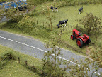 Belleroche; voie unique en Vendée dans les années 80-90 40 Vaches, barrières, arbustes, vieux tracteur; l'évocation de la campagne a été traité avec attention.